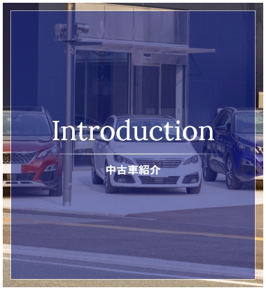 Introduction 中古車紹介